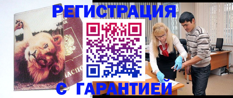 временная регистрация поиск в Михайловке